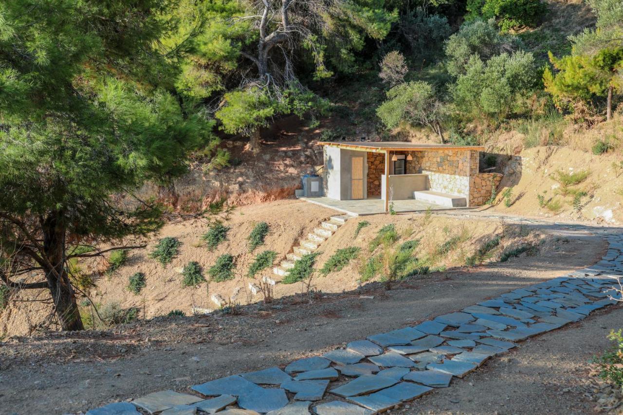 Thalasses Villas Skiathos Punta Dış mekan fotoğraf