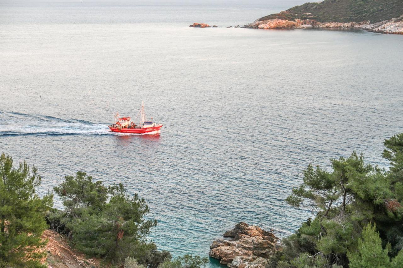 Thalasses Villas Skiathos Punta Dış mekan fotoğraf